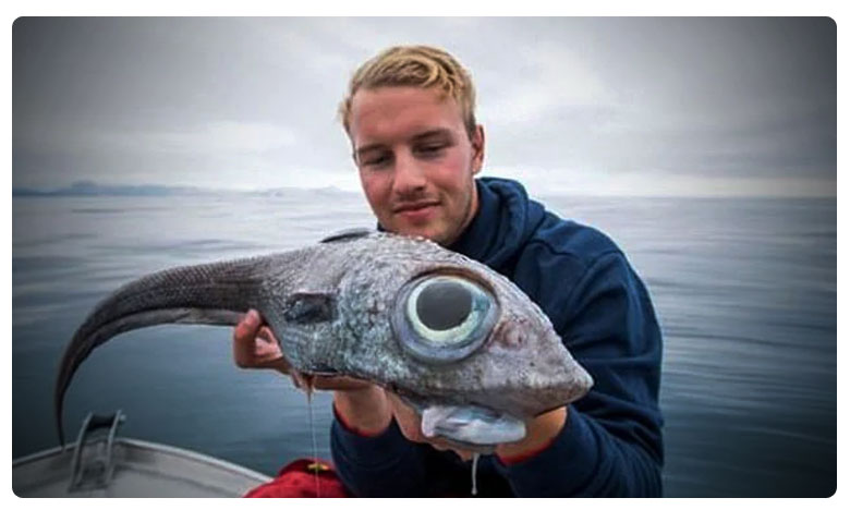 Oscar Lundahl pictured with the strange looking ratfish 