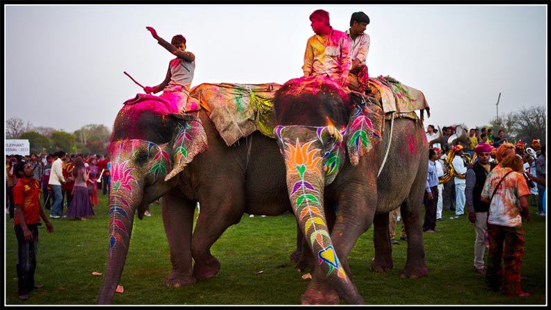 Holi Festival Holi Celebrations In Nizamabad Fun Fight (6)