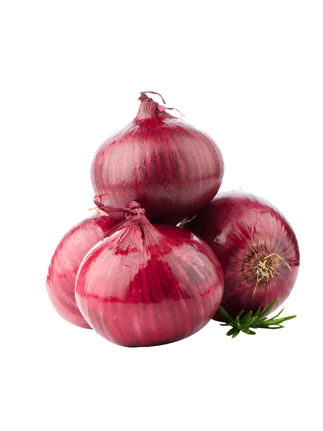 Onion.02