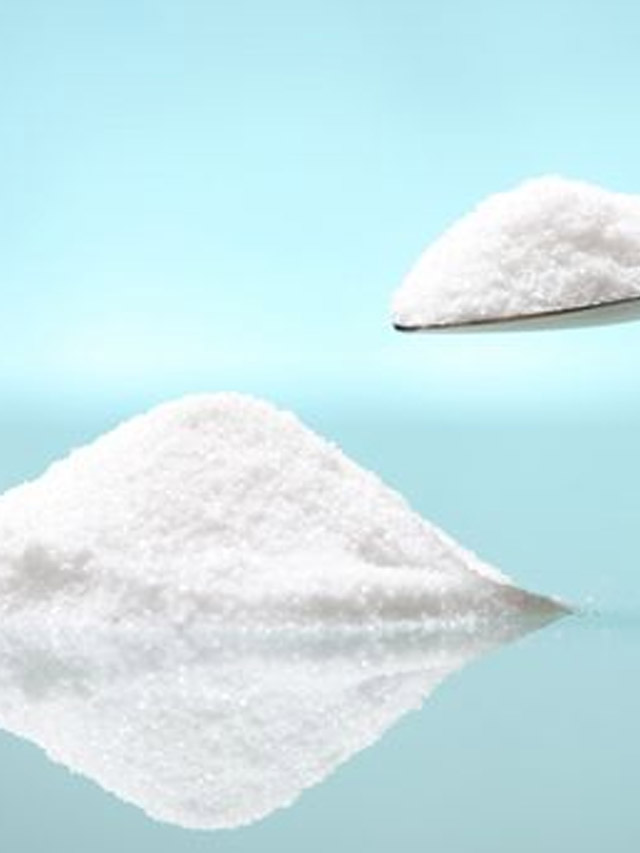 Salt Frent