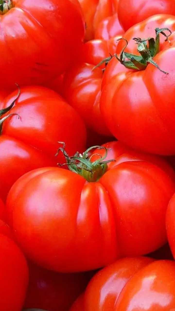 Tomato