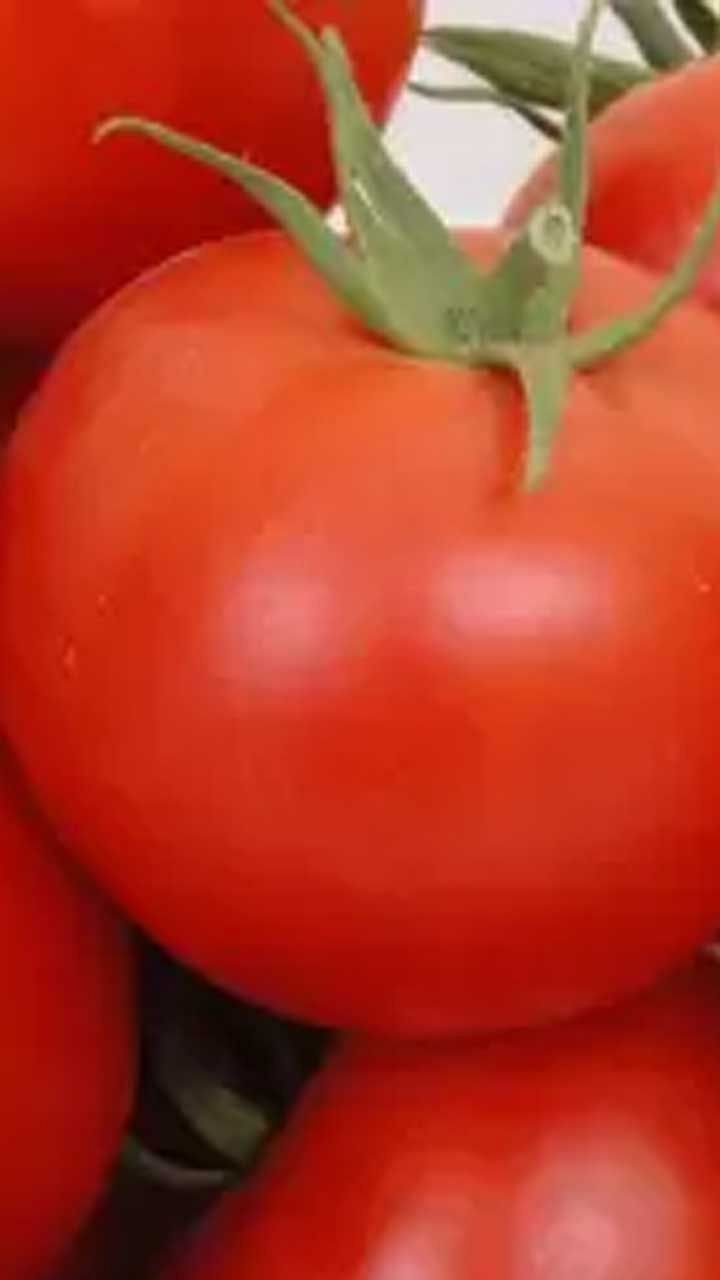 Tomato2