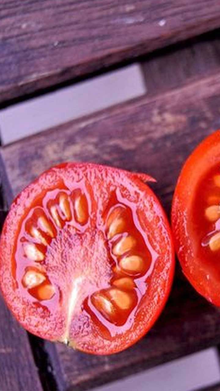 Tomato4