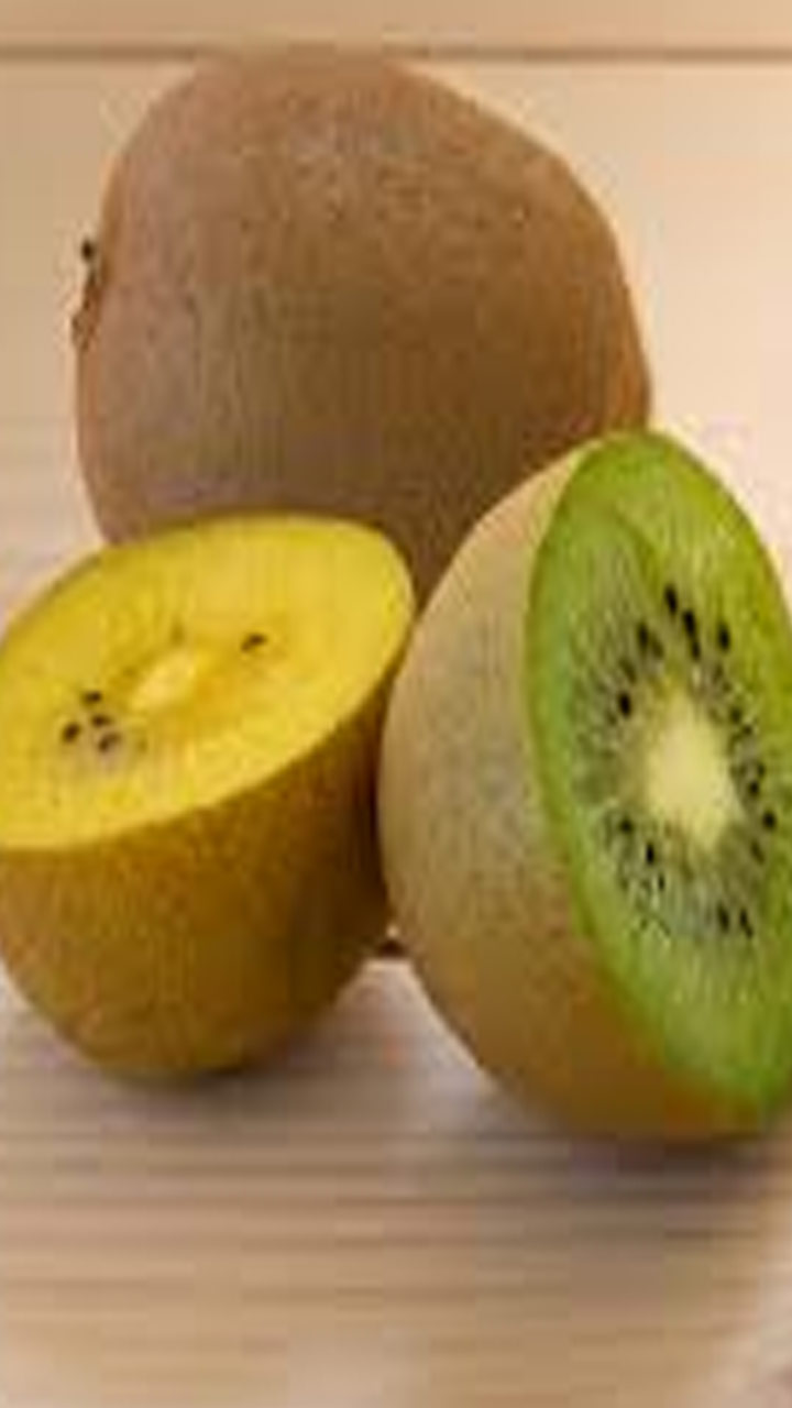 Kiwi 4